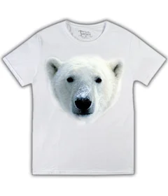 медведь, мишка